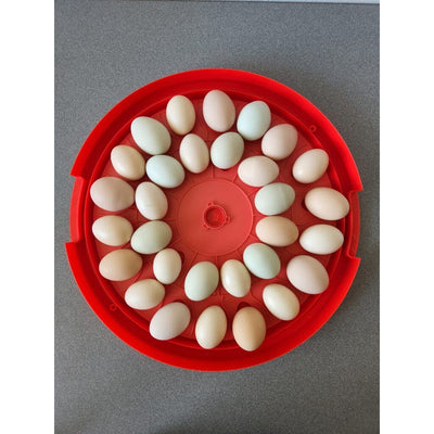 Rugg'EGG' Ranch 30 Egg Incubator Red detail - Rugged Ranch