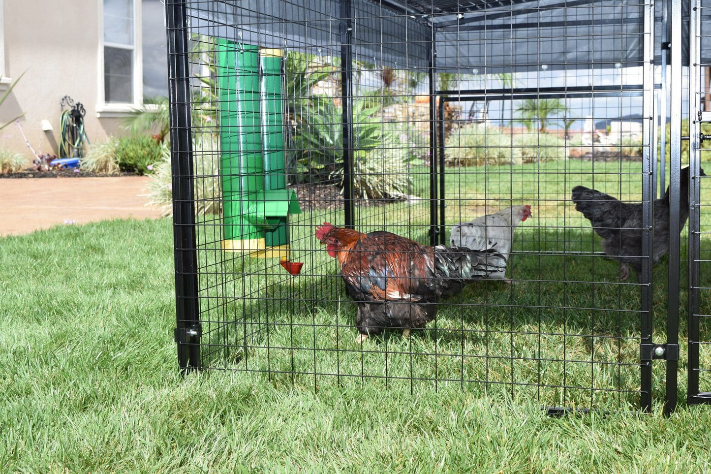 High-End Poultry Feed Saver product features highlighted - Poultry Supplies by Rugged Ranch