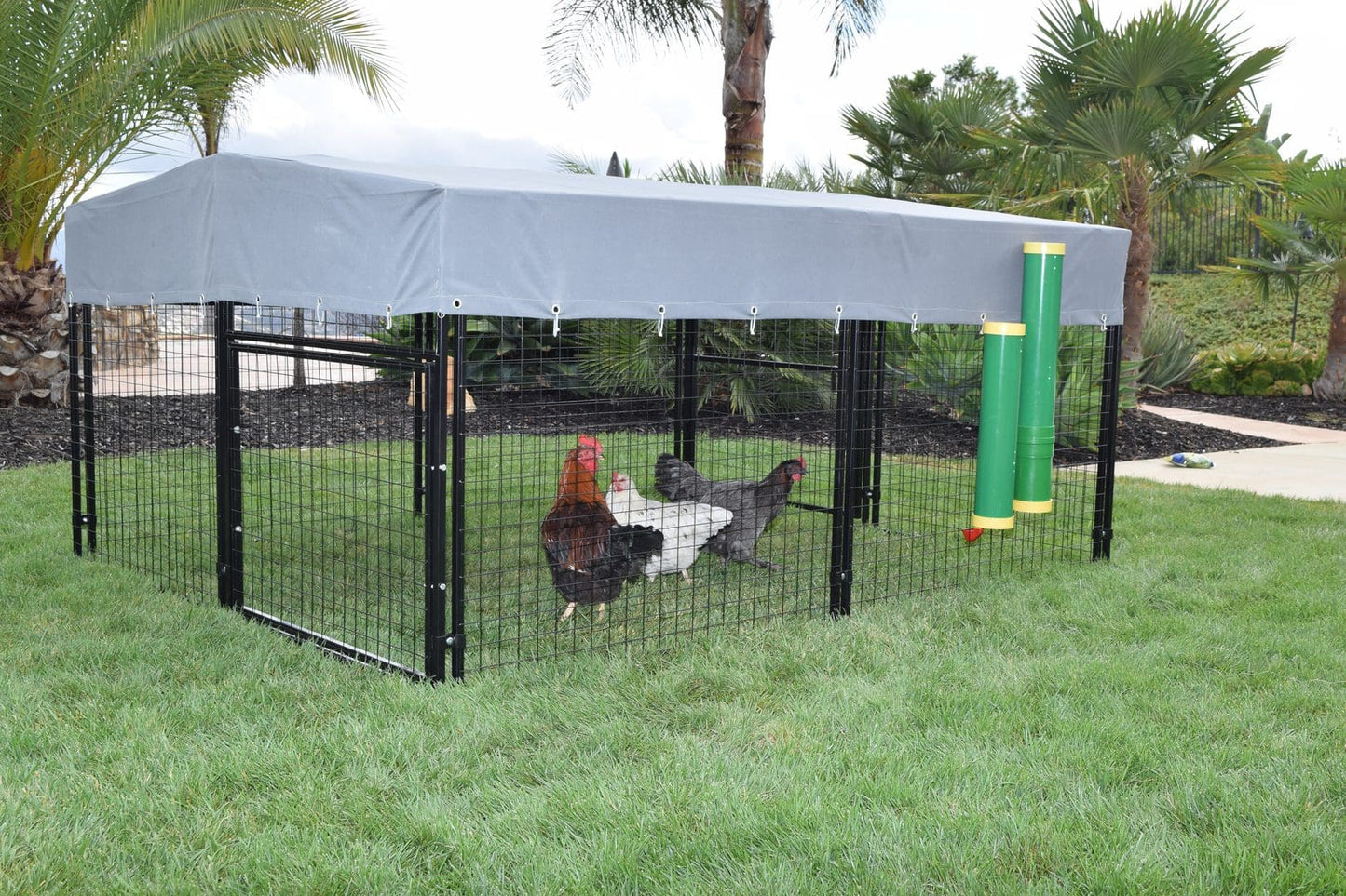 High-End Poultry Waterer in use with chickens - Poultry Supplies by Rugged Ranch