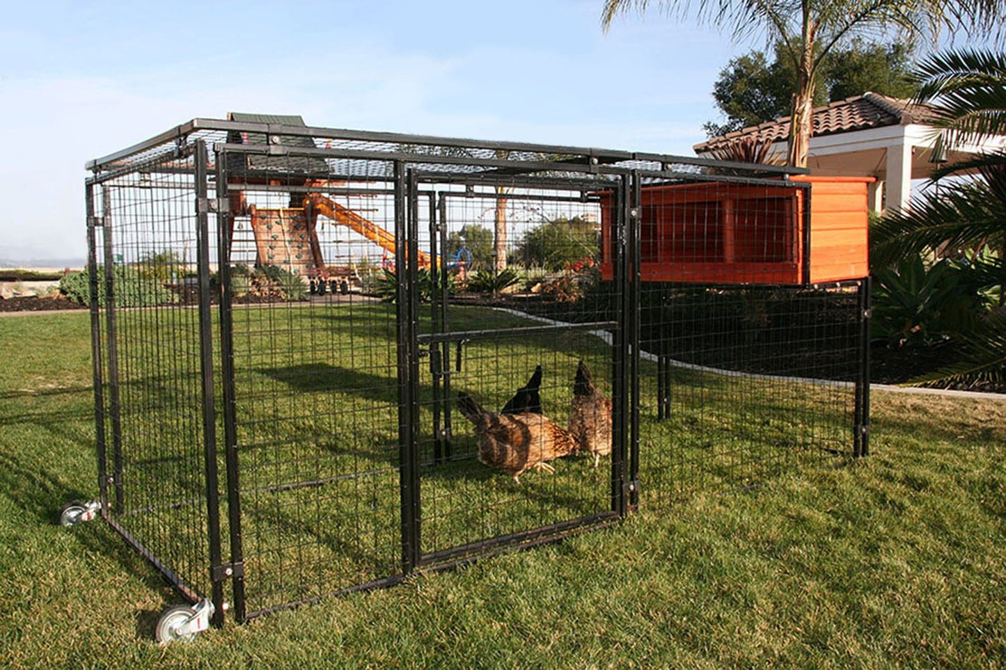 Spring Fling Nesting Box Only in use - Poultry Supplies by Rugged Ranch