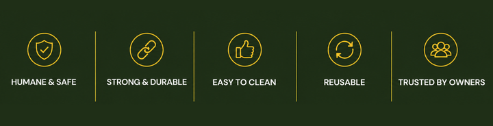 Humane mouse trap guide banner - no poison, no glue, no snap traps