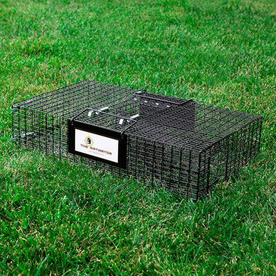 Animal Traps