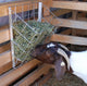 4' Mini Pasture Feeder detail shot - Feeders by Rugged Ranch