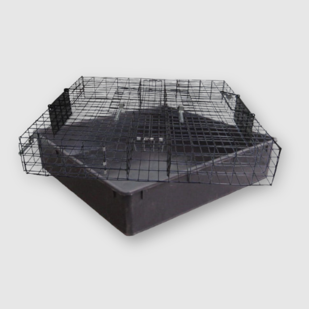 Squirrelinator Multi-Catch Squirrel Trap