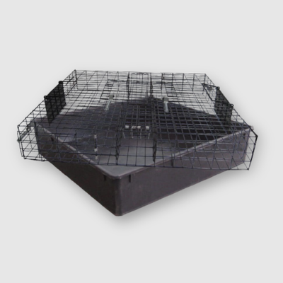 Squirrelinator Multi-Catch Squirrel Trap