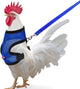 Chicken Harness & Leash (Pink & Blue Mix) front view - Chick Outfitters by Rugged Ranch