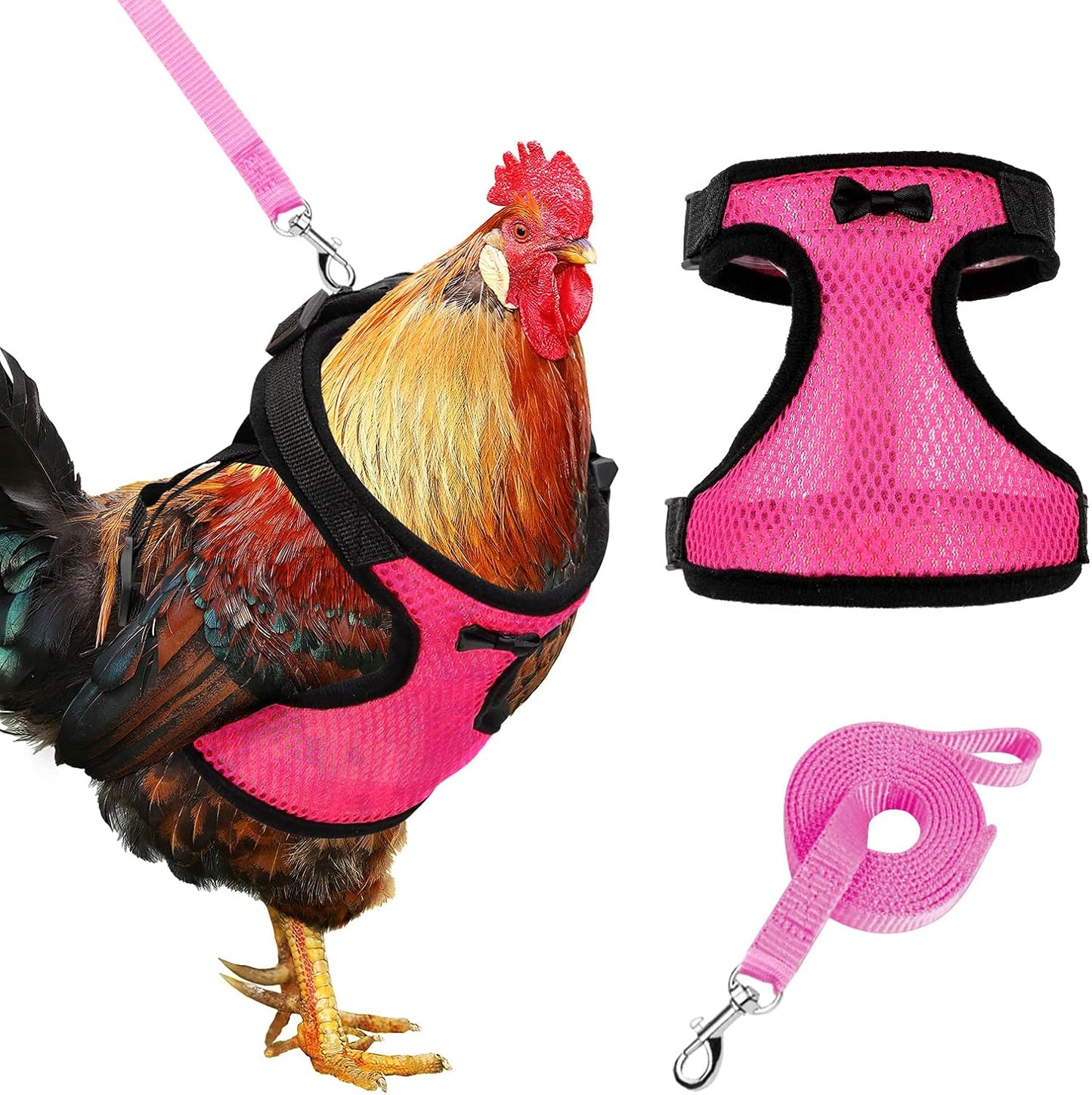 Chicken Harness & Leash (Pink & Blue Mix) close-up - Chick Outfitters by Rugged Ranch