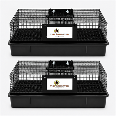 Ratinator Multi-Catch Rat Trap Pack of 2