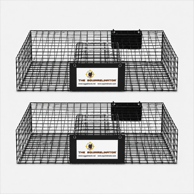 Squirrelinator Multi-Catch Squirrel Trap Pack of 2
