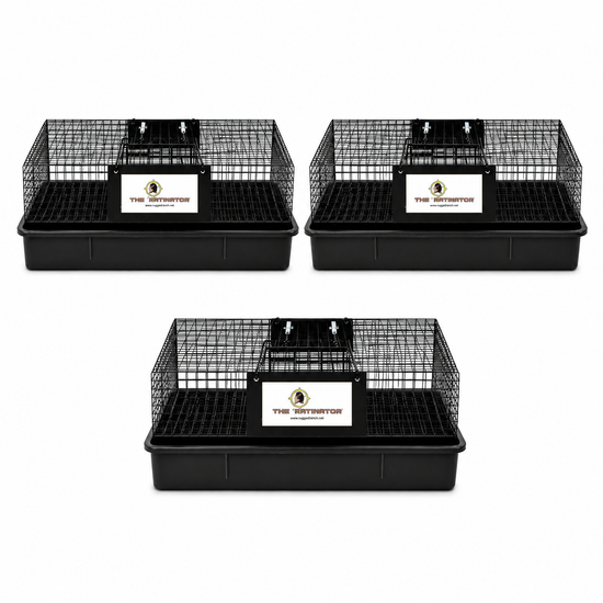 Ratinator - Humane Multi-Catch Live Rat Trap | Rugged Ranch