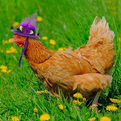 Fancy Hats Pink & Purple (2 Pack) front view - Chick Outfitters by Rugged Ranch