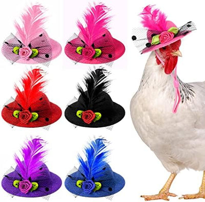 Fancy Hats Blue & Black (2 Pack) front view - Chick Outfitters by Rugged Ranch