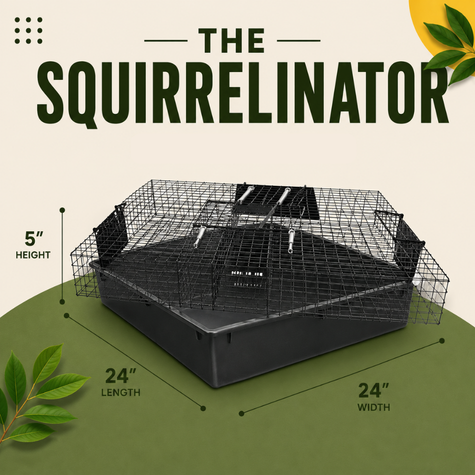 Squirrelinator Multi-Catch Squirrel Trap