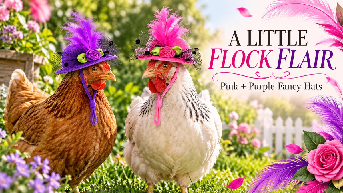 Fancy Hats Pink & Purple (2 Pack) landscape banner 1 - Rugged Ranch