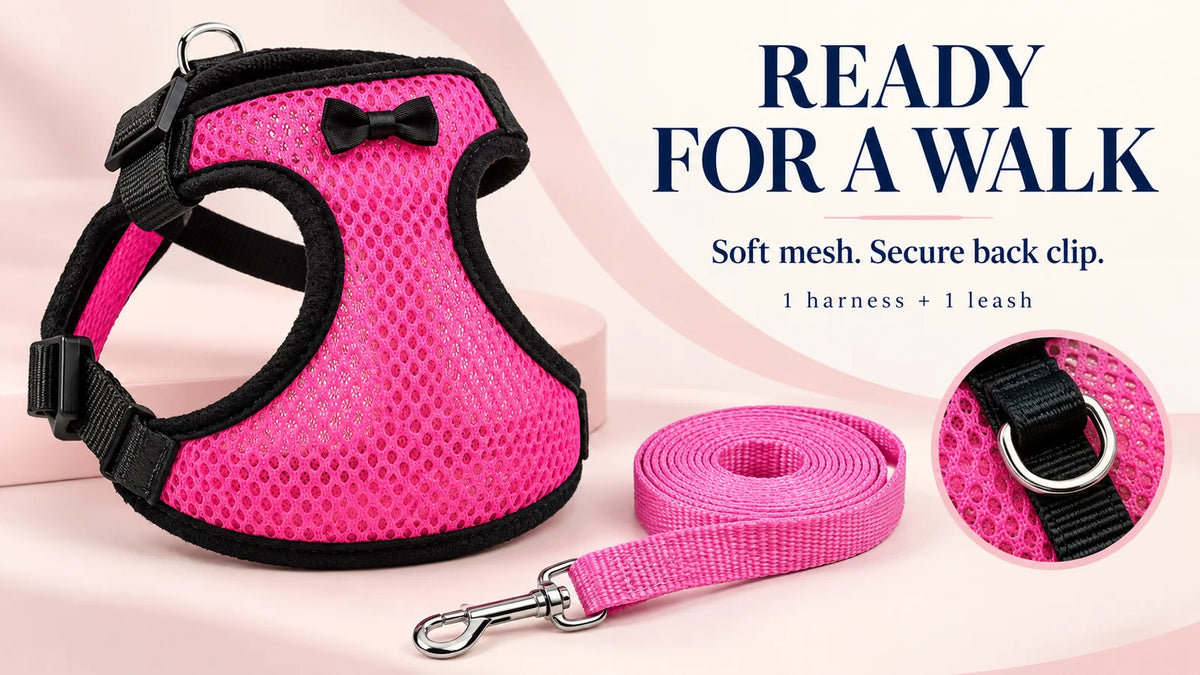 Chicken Harness & Leash (Pink & Blue Mix) landscape banner 2 - Rugged Ranch