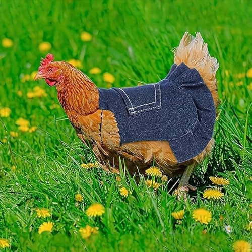 Chicken Saddle Denim color options - Chick Outfitters by Rugged Ranch