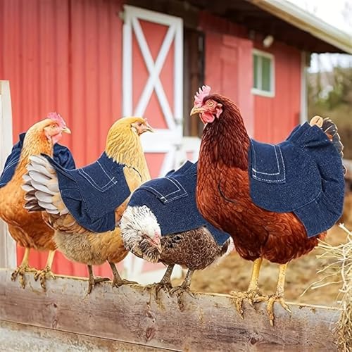 Chicken Saddle Denim dimensions overview - Chick Outfitters by Rugged Ranch