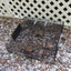 Chipmunkinator product photo - Humane Multi-Catch Live Chipmunk Trap by Rugged Ranch