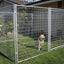 Durango Galvanized Kennel 5' x 10' x 6' front view - Dog Kennels by Rugged Ranch