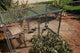 Durango Powder Coated Wire Top 5' x 10' front view - Kennel Accessories by Rugged Ranch