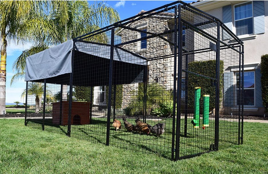 High-End Poultry Feed Saver dimensions comparison - Poultry Supplies by Rugged Ranch