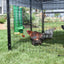 High-End Poultry Feed Saver product features highlighted - Poultry Supplies by Rugged Ranch