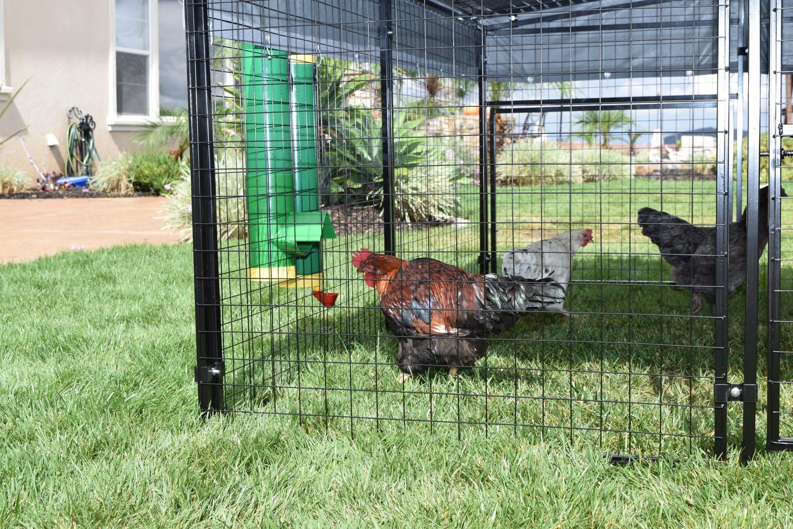 High-End Poultry Feed Saver product features highlighted - Poultry Supplies by Rugged Ranch