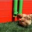 Rugg'EGG' Ranch Silo Feeder 20 lbs detail view - Poultry Supplies by Rugged Ranch