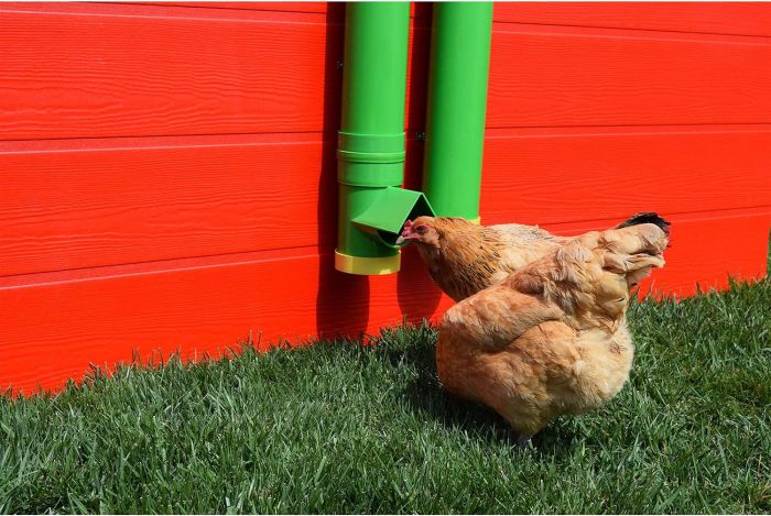Rugg'EGG' Ranch Silo Feeder 20 lbs detail view - Poultry Supplies by Rugged Ranch