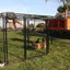 Spring Fling Metal Pen Only in use with animals - Metal Coops by Rugged Ranch