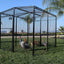 Spring Fling Mobile Coop Complete front view - Metal Coops by Rugged Ranch