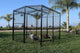 Spring Fling Mobile Coop Complete front view - Metal Coops by Rugged Ranch