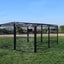 Spring Fling Mobile Coop Complete in use with chickens - Metal Coops by Rugged Ranch