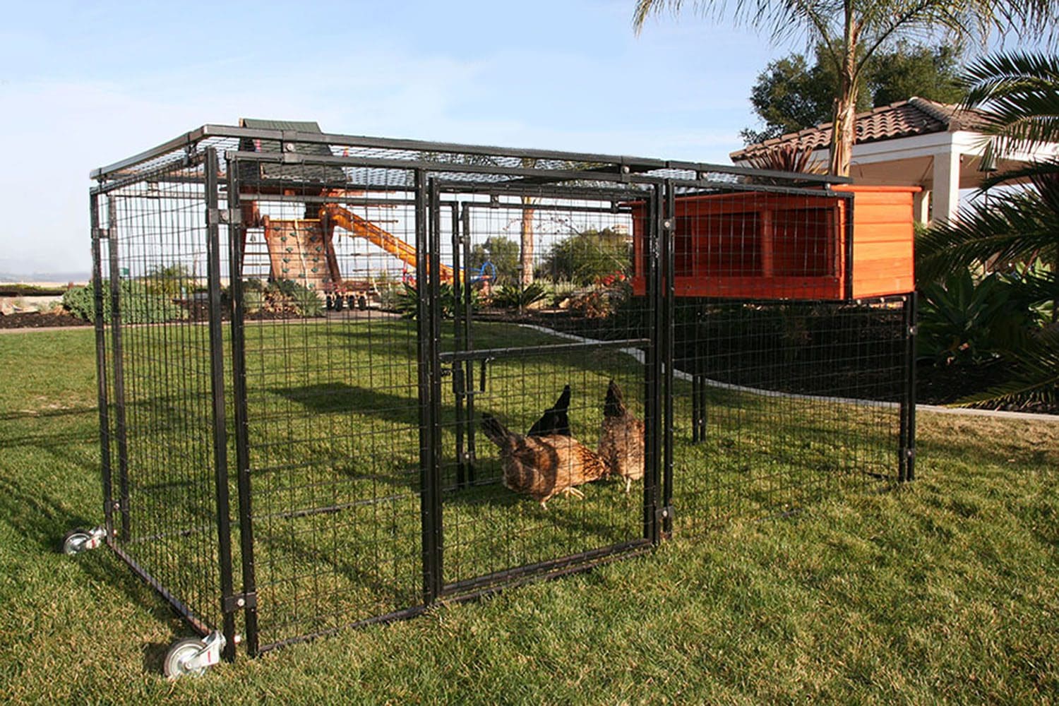 Spring Fling Nesting Box Only in use - Poultry Supplies by Rugged Ranch