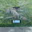 Squirrelinator product photo - Humane Multi-Catch Live Squirrel Trap by Rugged Ranch