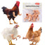 T Rex Arms Chicken Costume in use - Chick Outfitters by Rugged Ranch