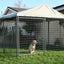 Tucson 2.0 Kennel 4' x 8' x 6' in use with dogs - Dog Kennels by Rugged Ranch