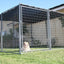 Tucson 2.0 Kennel 4' x 8' x 6' lifestyle shot - Dog Kennels by Rugged Ranch