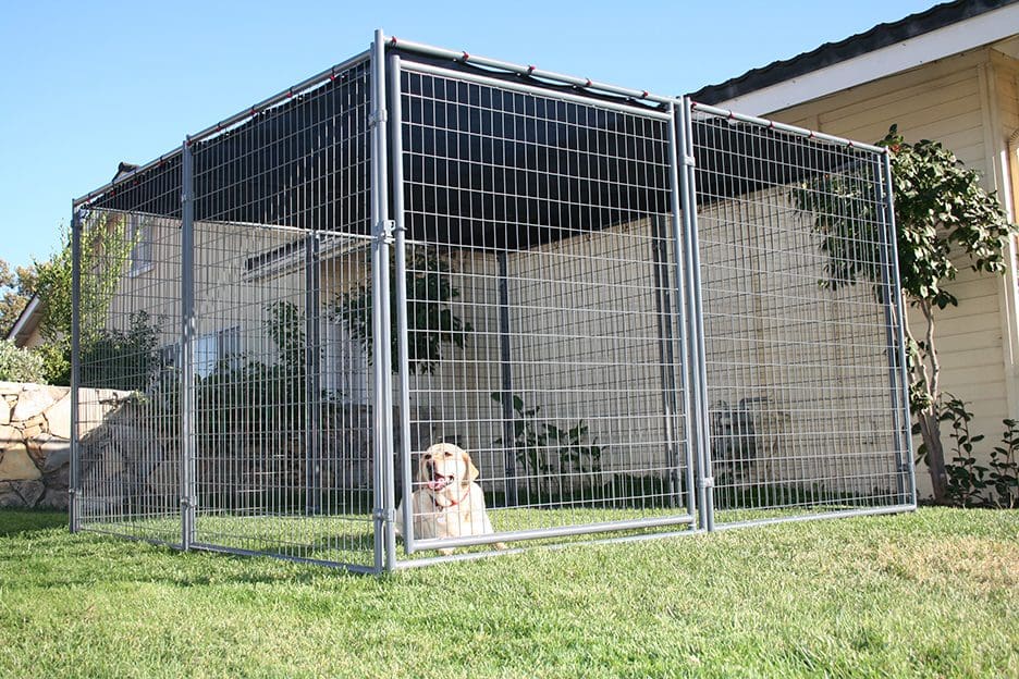 Tucson 2.0 Kennel 4' x 8' x 6' lifestyle shot - Dog Kennels by Rugged Ranch