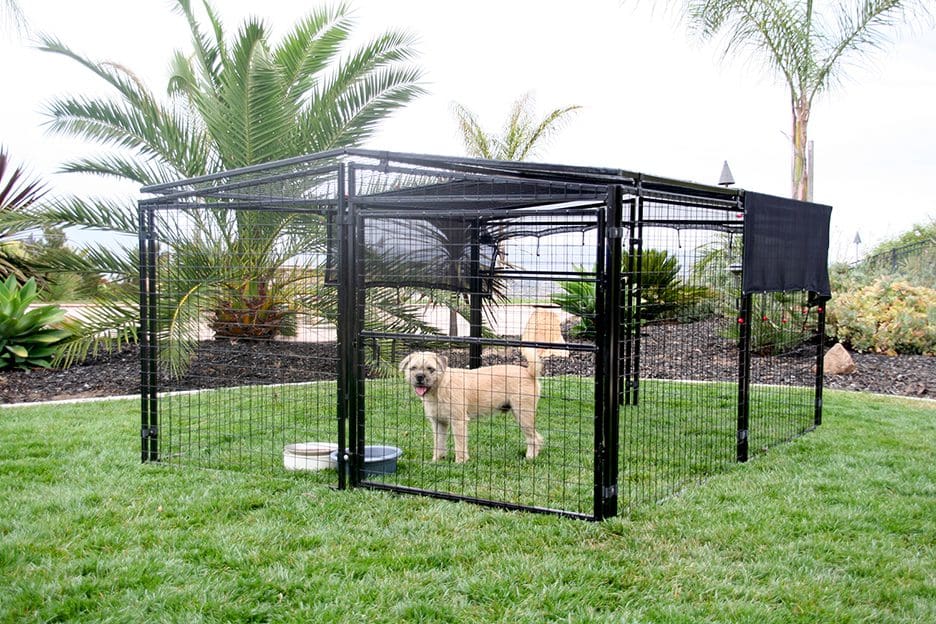 Universal Walk-In Pen Extension Kit in use with animals - Metal Coops by Rugged Ranch