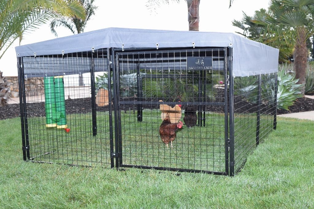 Universal Welded Wire Pen lifestyle setting - Metal Coops by Rugged Ranch